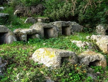 Βυζάντιο και βιολογικός πόλεμος με τη χρήση... μελισσών!